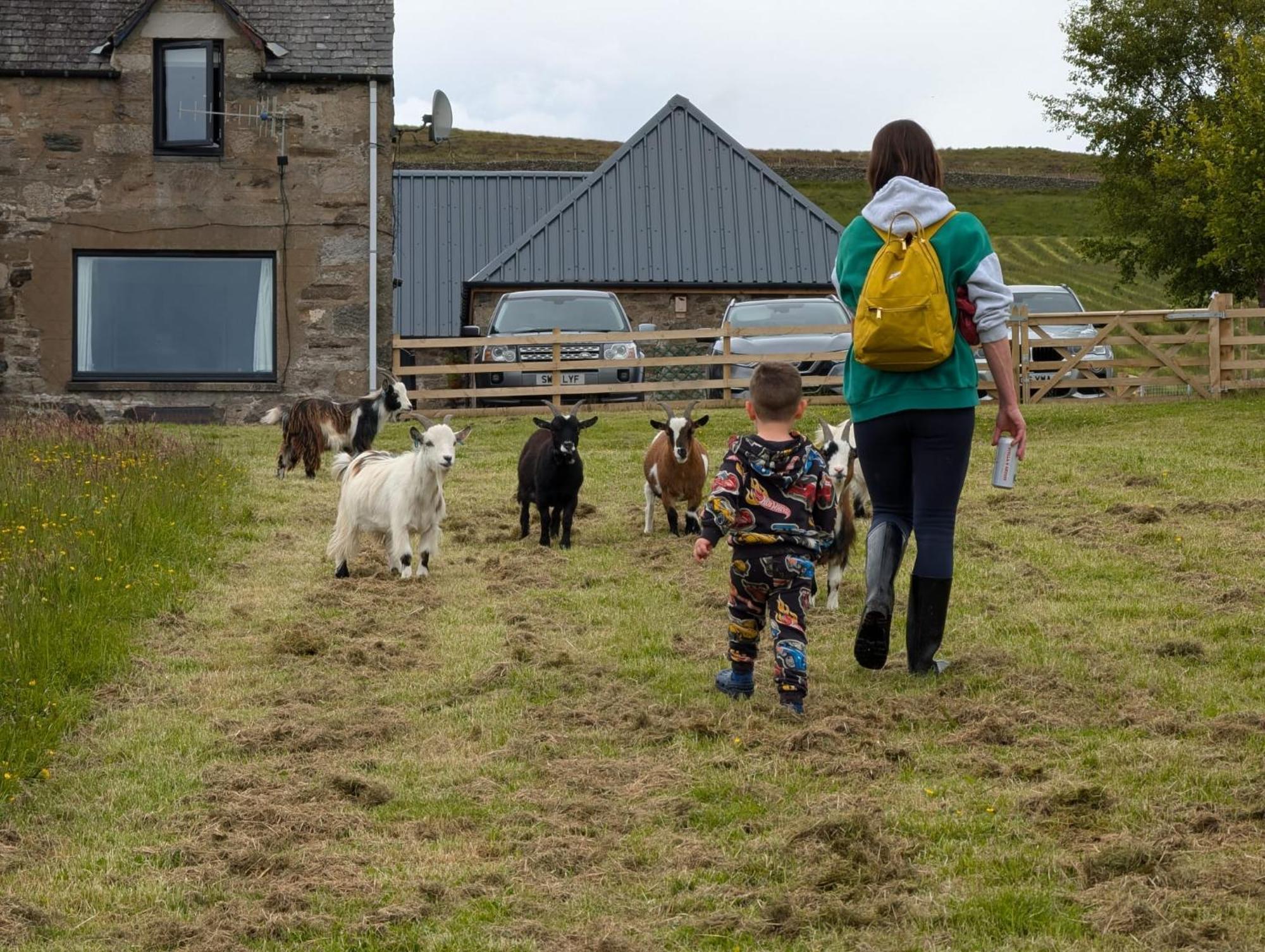 Tomnauld Farm Ξενοδοχείο Pitlochry Εξωτερικό φωτογραφία